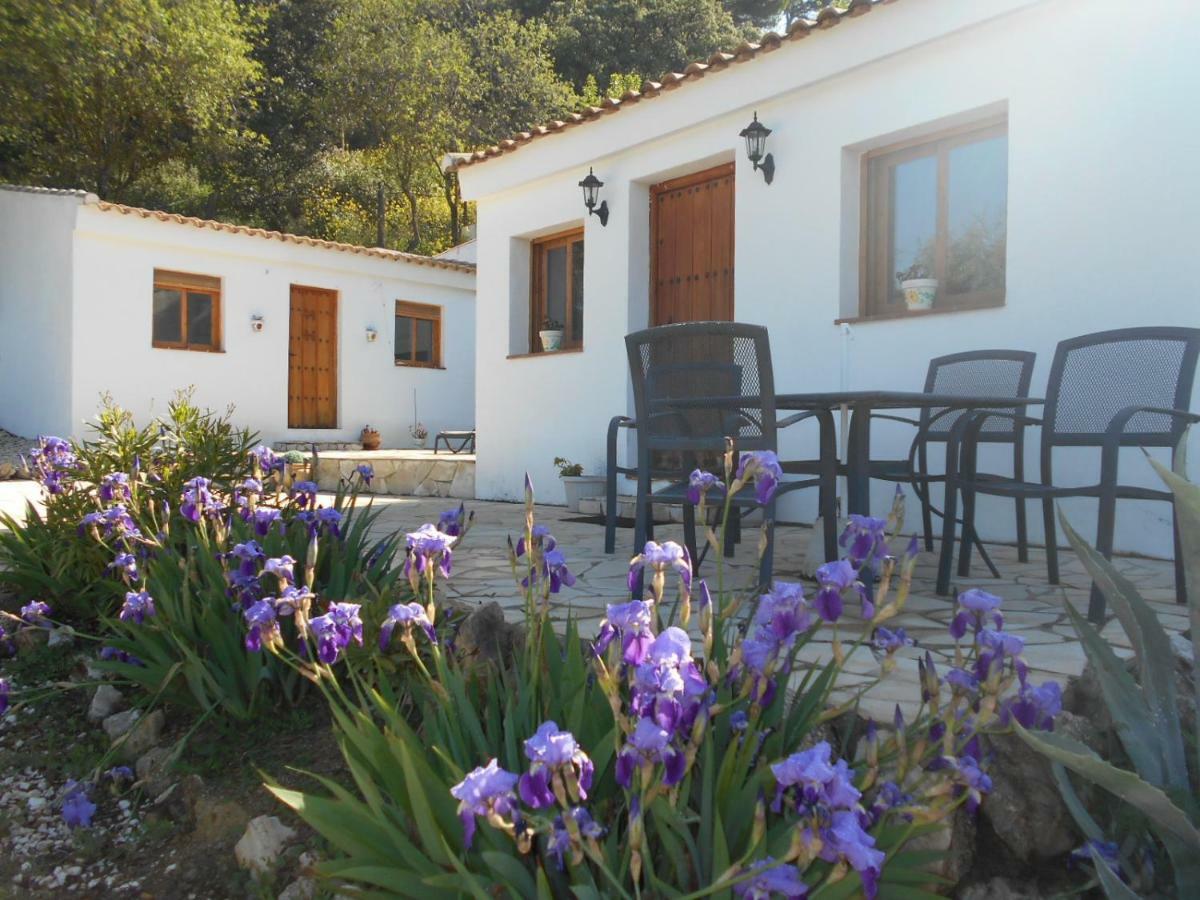 La Casita, Zagra Villa La Carrera de la Viña Dış mekan fotoğraf