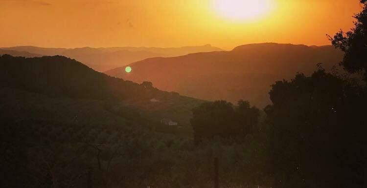 La Casita, Zagra Villa La Carrera de la Viña Dış mekan fotoğraf